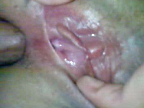 Лисий зрадник відлиз ...